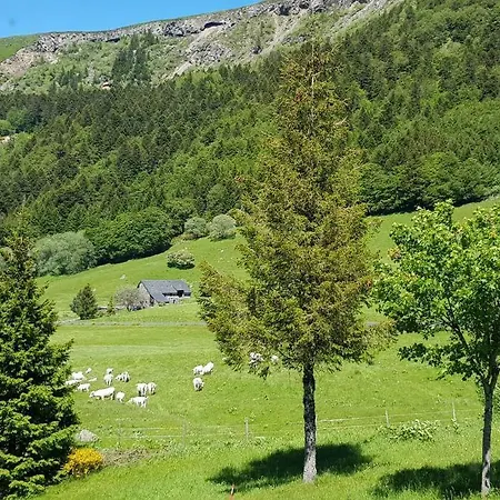 Spacieux Au Coeur Du Massif Du Sancy Апартаменты