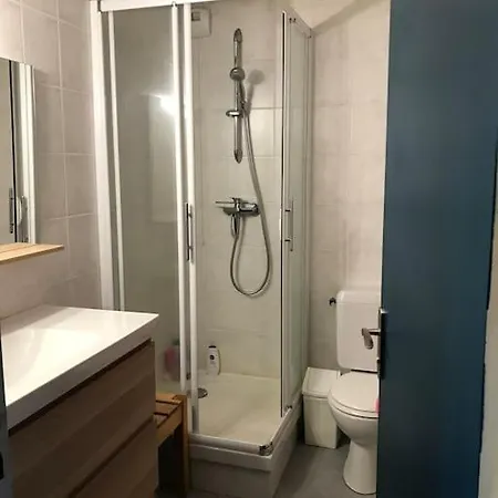 Spacieux Au Coeur Du Massif Du Sancy Apartment Le Mont-Dore