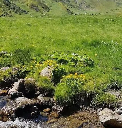 Spacieux Au Coeur Du Massif Du Sancy
