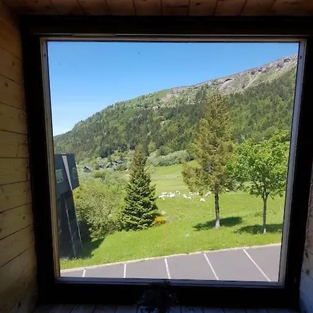 Spacieux Au Coeur Du Massif Du Sancy *
