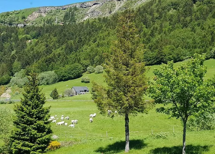 Spacieux Au Coeur Du Massif Du Sancy Apartment