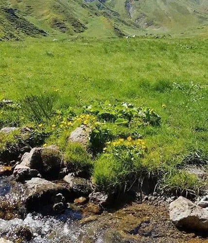 Spacieux Au Coeur Du Massif Du Sancy