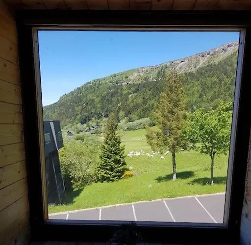 Spacieux Au Coeur Du Massif Du Sancy *